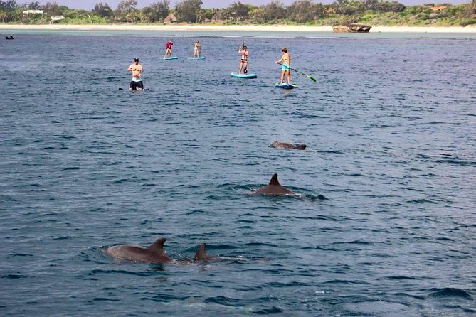 Watamu Marine Park & Sudi Island Mangrove Forest Canoe Ride.With sea food lunch - Practical advice before you book
