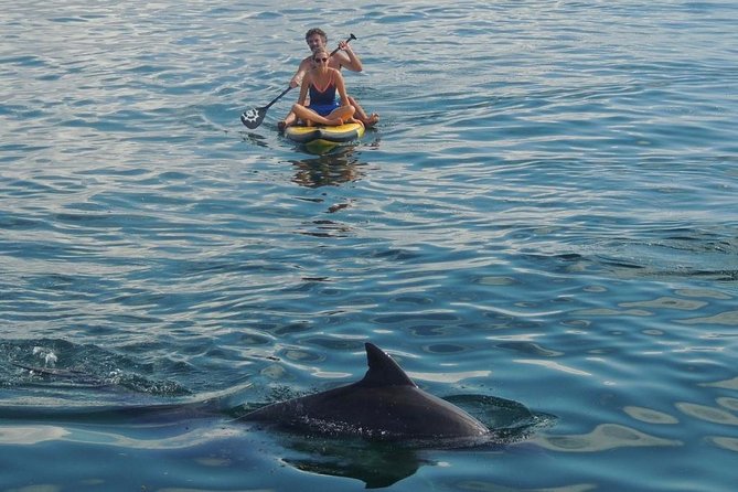 Watamu Marine Park & Sudi Island Mangrove Forest Canoe Ride.With sea food lunch - Boarding the glass-bottom boat at Watamu