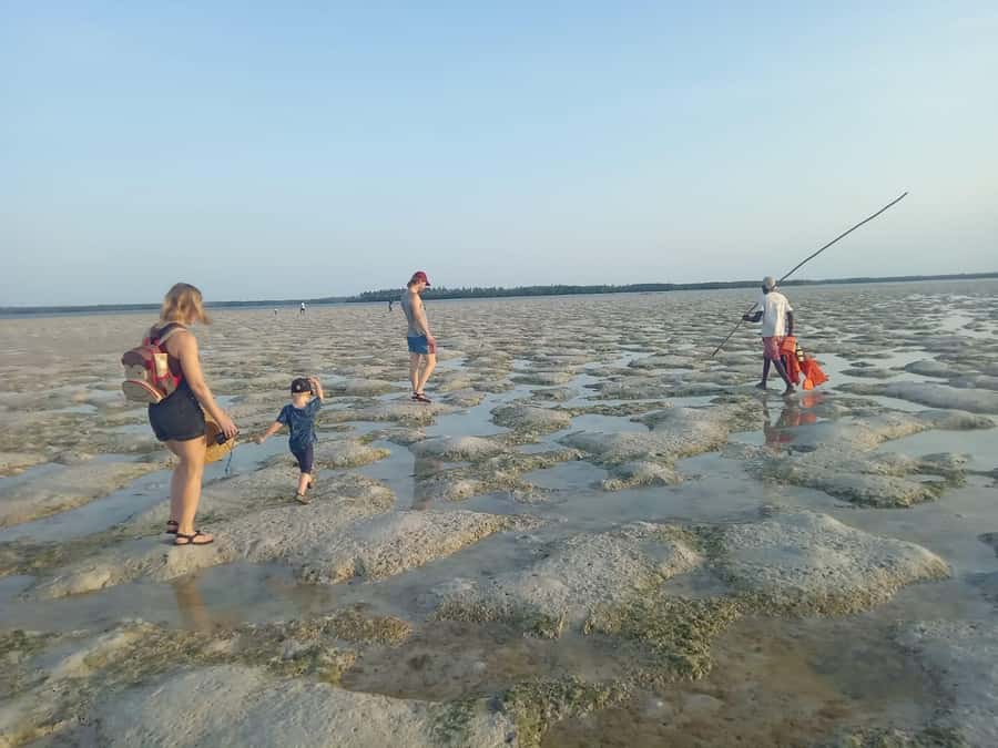 Watamu: Sunset Mangrove Canoe Tour with Coconut Drink - Walking toward the mangrove channels