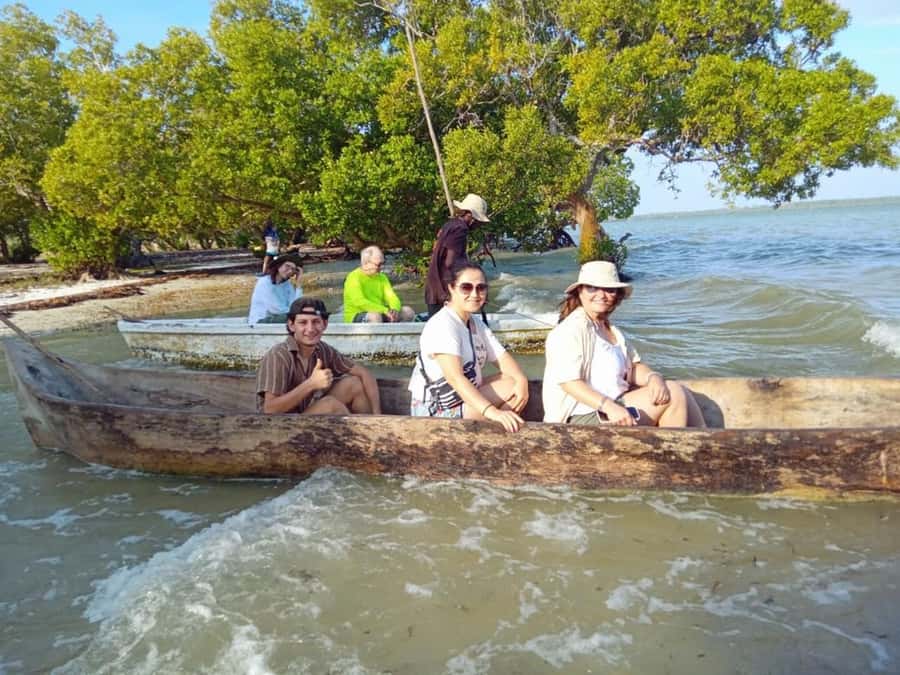 Watamu: Sunset Mangrove Canoe Tour with Coconut Drink - Pastel light and sunset behind Green Island