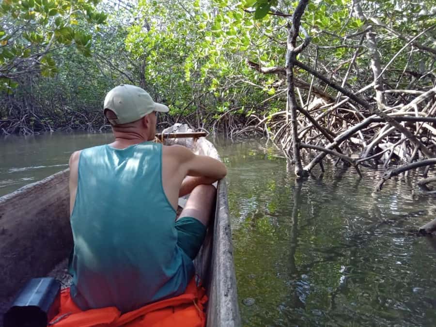 Watamu: Sunset Mangrove Canoe Tour with Coconut Drink - What the $20 price really covers